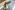 Philips EL-6020 Dynamic Microphone