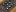 the Minimoog's filter and envelope sections