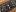 the Minimoog's oscillators bank